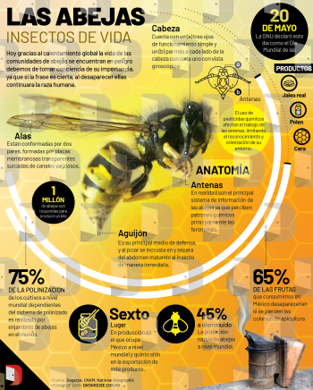 ABEJAS EN PELIGRO (copia)